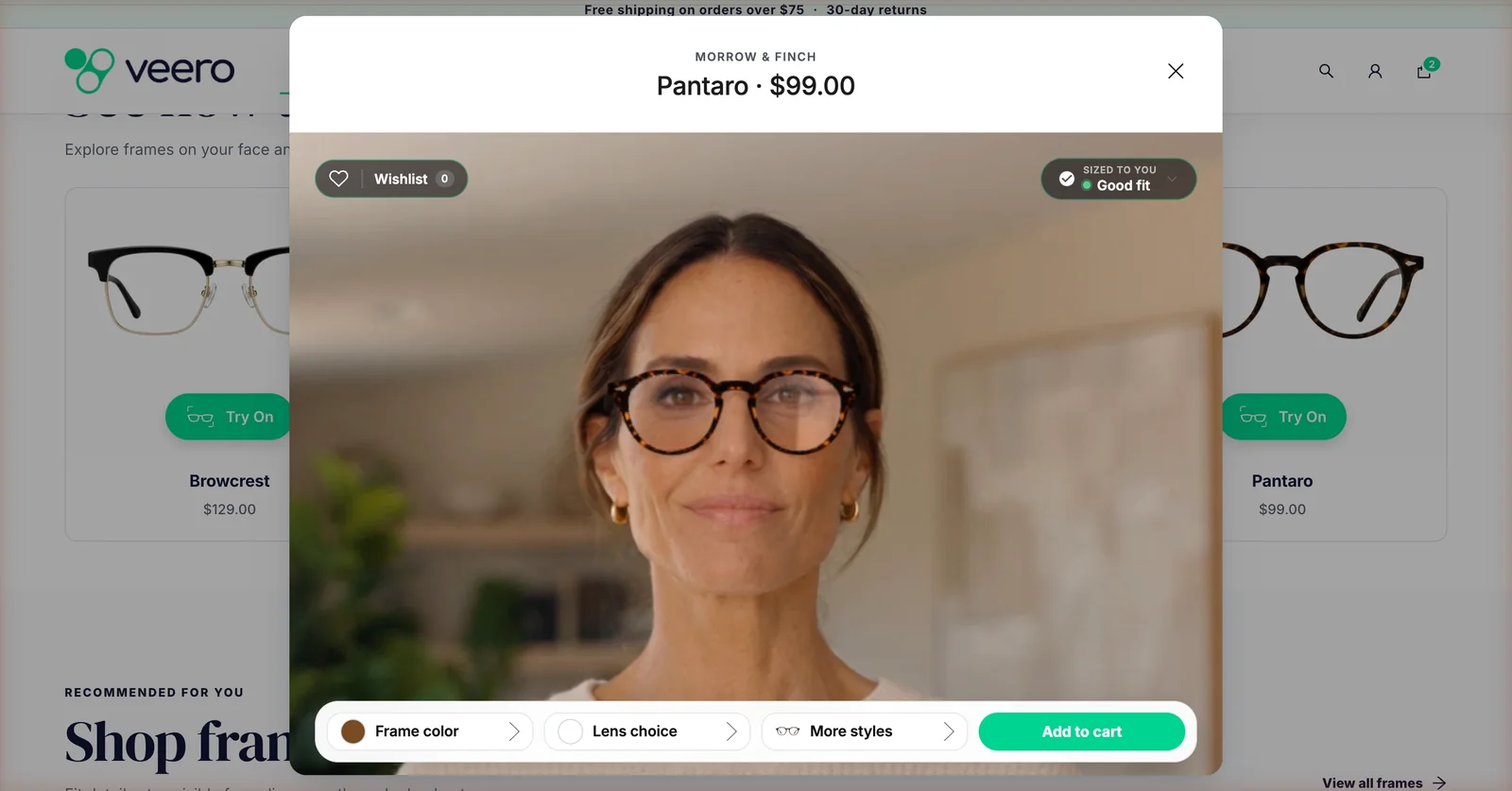 EyeSize VTO open on desktop as a modal over a store's product page, with the store's header and product cards still visible around it.